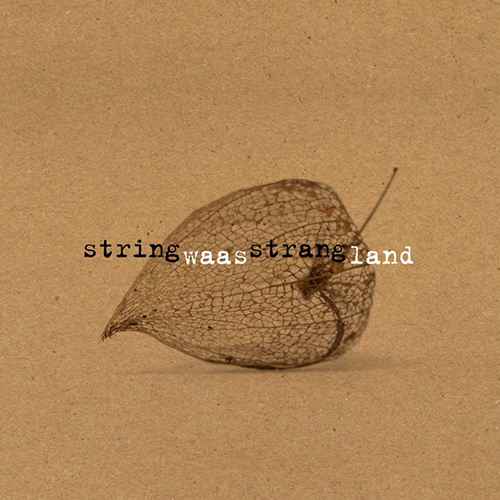 Stringstrang - Waasland